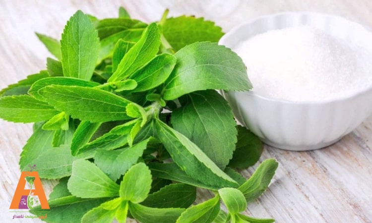 خواص شگفت انگیز استویا